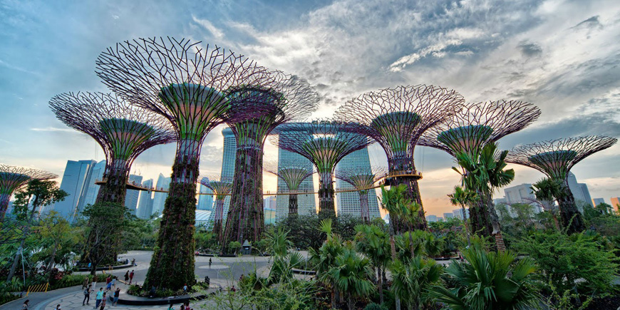 Gardens by the Bay